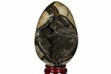Septarian Dragon Egg Geode - Black Crystals #120930-1
